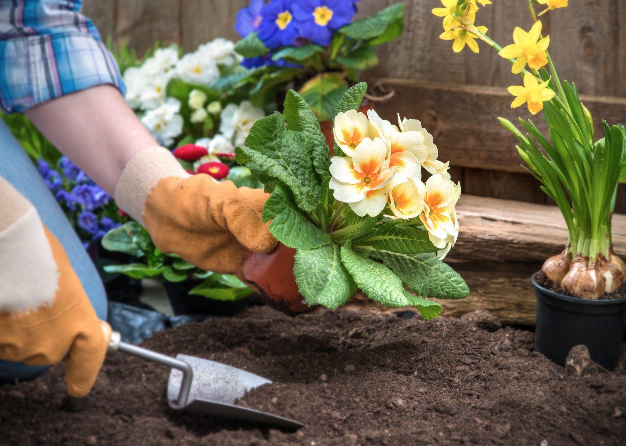 Certificate II in Horticulture by Open Colleges